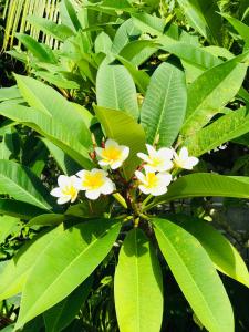 D 8 Hostel Success D Hostel Studio &Cafe’