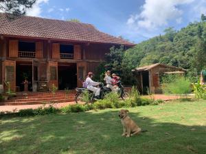Giường Đơn trong Phòng ngủ tập thể (Single Bed in Dormitory Room)