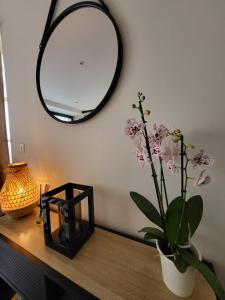 Appartements Le Patio - Appartement calme - Hyper centre Pau : photos des chambres