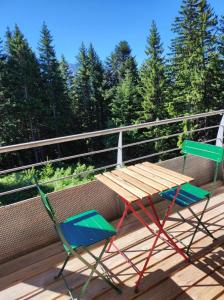 CHAMROUSSE 38410 A BACHAT 1700 M APPARTEMENT 4 PERSONNES
