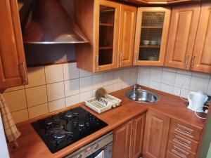 Apartament na Rynku w Gnieźnie