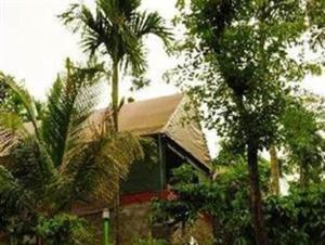 Grassroots Wayanad, Valley-view Tents