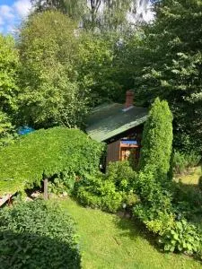 PIE OPĪŠA - Raiskums