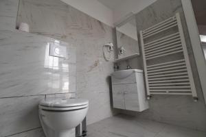 Camere de inchiriat Elisei