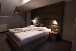 Camere de inchiriat Elisei