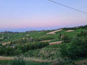 Tenuta Dei Vicini - Luxury Apartments