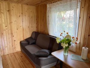 Metsamajake Värskas