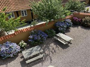 Apartment Ramona - 10m from the sea by Interhome