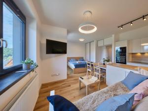 Studio Černý Důl-1 by Interhome