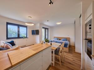 Studio Černý Důl-1 by Interhome