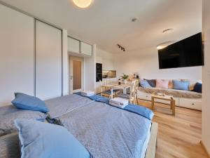 Studio Černý Důl-1 by Interhome