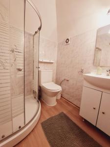 Family Suite room in Pensiunea Rock and Red