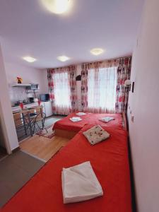 Pensiunea Rock and Red