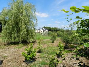 Maisons de vacances Gite La Grenouillere : photos des chambres