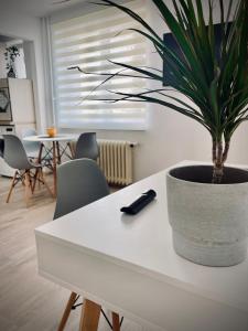 Lucas’s cozy apartment