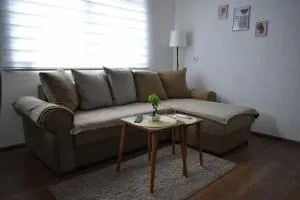 Petrović Apartman - Trstenik