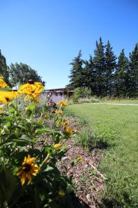 Chalets Gite Tonneau Insolite : photos des chambres