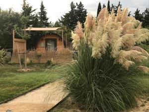 Chalets Gite Tonneau Insolite : photos des chambres