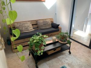 Grand appartement