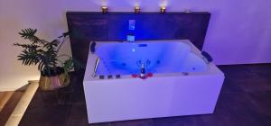 Privat-Spa mit Whirlpool und Sauna in Sursee