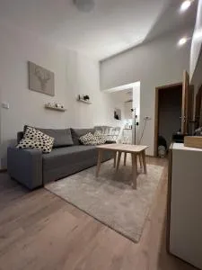 Apartmán U Potoka - Ober-Heidisch