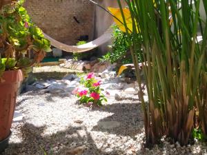 Il giardino degli Ulivi house