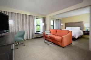 King Studio Suite - Non-Smoking room in Hampton Inn Martinsville
