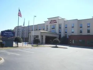 Hampton Inn & Suites Norfolk-Airport - تشيسابيك