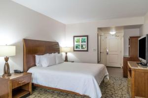 King Room room in Hilton Garden Inn Valley Forge/Oaks