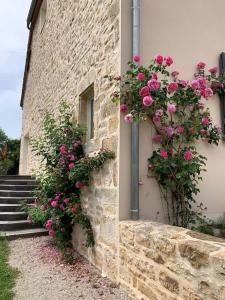 Maisons de vacances Aux sources du Paradis Classe 4 etoiles SPA d'ete : photos des chambres