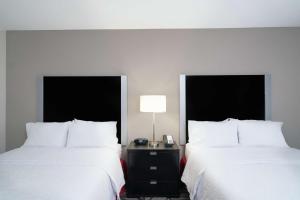Queen Room with Two Queen Beds - Hearing Accessible - Non-Smoking room in Hampton Inn and Suites Roanoke Airport/Valley View Mall