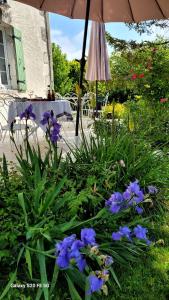 Appartements LA CHEVRIERE EN PERIGORD : photos des chambres