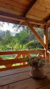 Pasieka Dobro i Smak