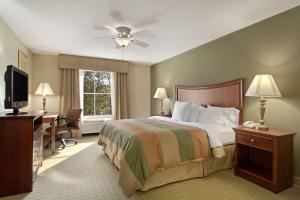 One-Bedroom King Suite - Non-Smoking room in Homewood Suites by Hilton Rochester - Victor