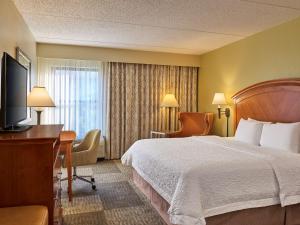 King Room with Accessible Tub - Mobility and Hearing Access/Non-Smoking room in Hampton Inn San Antonio Stone Oak