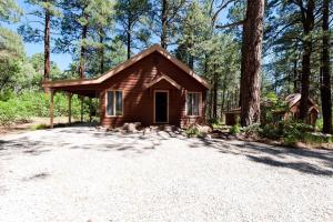 151 CR 200 1 Bedroom Cabin