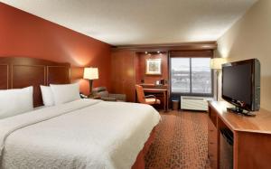 King Room with King Bed - Non-Smoking room in Hampton Inn Salt Lake City/Sandy