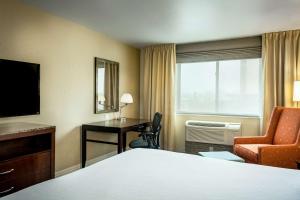 One-Bedroom King Suite room in Hilton Garden Inn Seattle/Issaquah