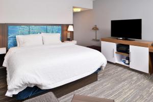 King Room room in Hampton Inn & Suites Saint Paul Woodbury Oakdale by Hilton