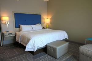 King Room - Non-Smoking room in Hampton Inn West Plains