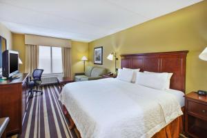 King Room with Sofa Bed - Hearing Accessible/Non-Smoking room in Hampton Inn Washington-Dulles International Airport South