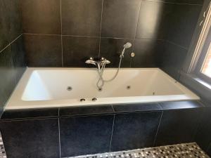 Stylish independent Studio S1, City Centre Dordrecht