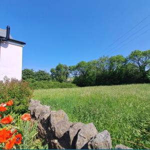 Room in a Cosy Cottage close to Cardiff City Centre