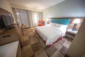King Room - Disability Access/Non-Smoking room in Hampton Inn Hutchinson