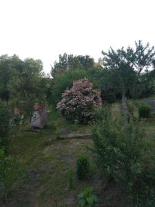 Maisons d'hotes La Cigaliere : photos des chambres