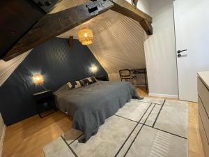 Appartements Le petit chateau du Docteur Cambournac : photos des chambres