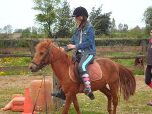 Maisons de vacances Gite et Relais Equestre de Marie : photos des chambres