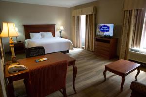 King Studio Suite with Sofa Bed - Non-Smoking room in Hampton Inn & Suites Grenada