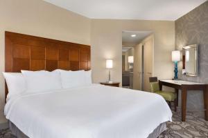 King Suite - Non-Smoking room in Embassy Suites San Antonio Airport
