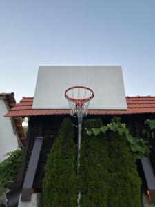 DREAM HOUSE Lis